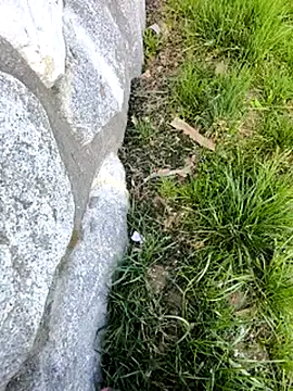 DrownMentallyyy online show from 03/22/25, 12:35