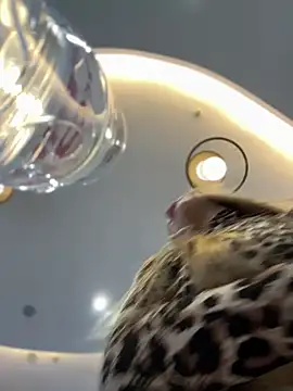 Snapshot of mur_girl chatting on 12/30/24, 12:42 mur girl online show from 12/30/24, 12:42