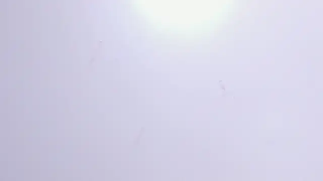 Violet Grace online show from 02/17/25, 06:26