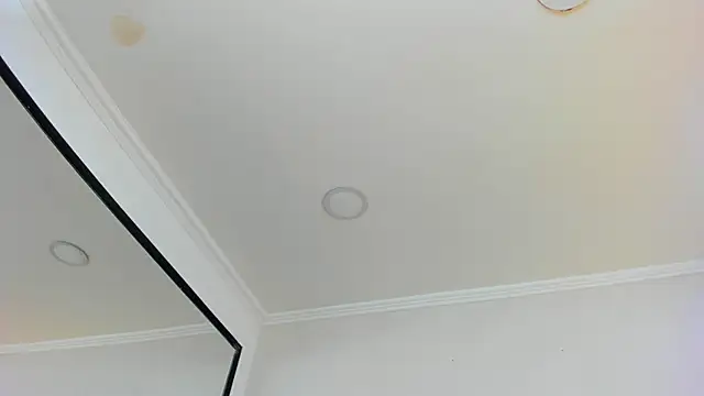 Loggan donnelly online show from 03/10/25, 10:55