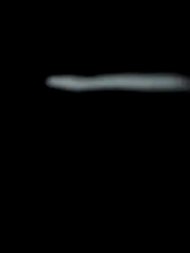 Snapshot of 18_7polla chatting on 12/01/25, 03:00 18 7polla online show from 12/01/25, 03:00