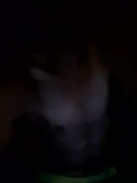 kjs daddy123 online show from 07/03/26, 04:52