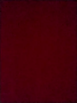 Luci foxx online show from 10/08/25, 03:59