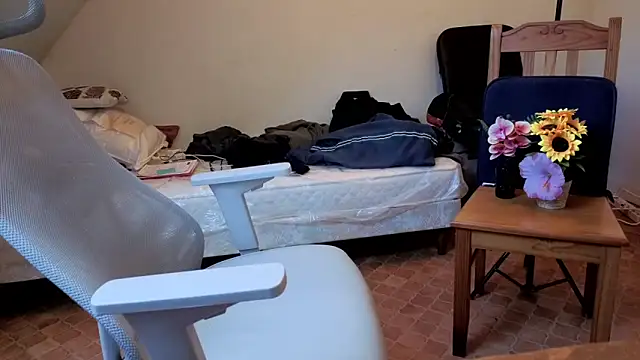 SteveStiffbone online show from 04/06/26, 02:18