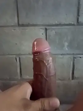 ga213333 online show from 11/20/25, 06:40