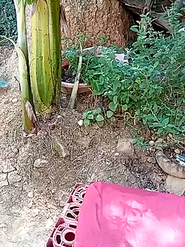 Snapshot of tayson_ chatting on 01/11/25, 03:20 tayson online show from 01/11/25, 03:20