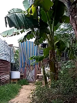 Snapshot of tayson_ chatting on 03/14/25, 11:34 tayson online show from 03/14/25, 11:34