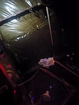 Jamixxxdress77 online show from 03/08/26, 12:08