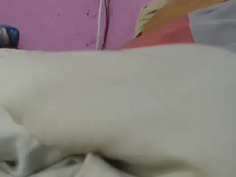 Cheliafun online show from 06/29/26, 01:33