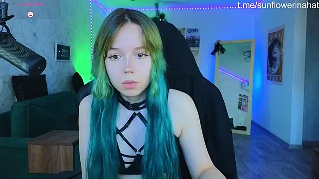 812sunflowerinahat online show from 12/19/24, 09:29