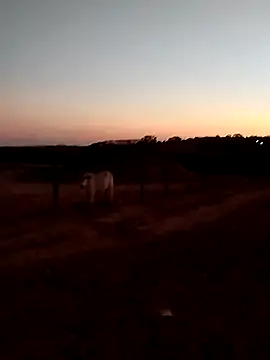 Leocesar37 online show from 09/14/25, 09:36