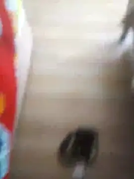 510915asi online show from 12/20/25, 12:01