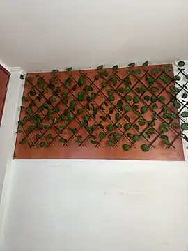 Emily Trujillo online show from 11/08/25, 05:34