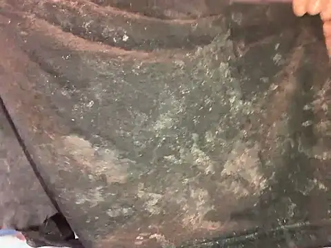 barenlund456 online show from 04/19/26, 08:55