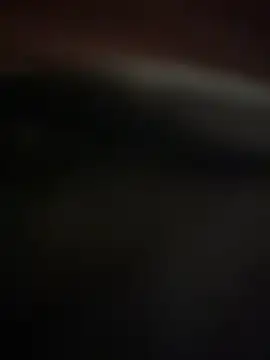 Jan berger online show from 01/20/25, 04:45