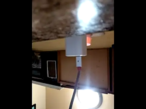 Lexxstacy online show from 11/22/25, 02:32