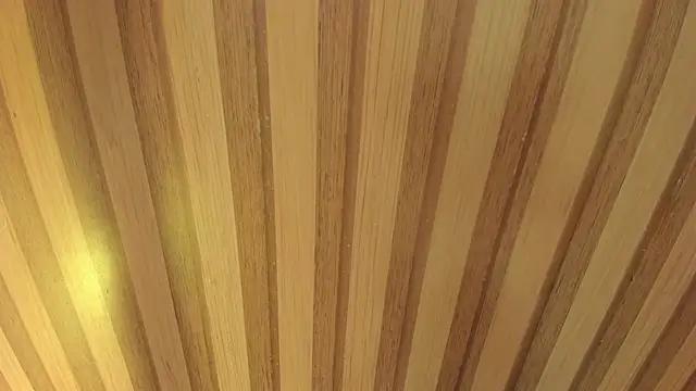 Taylor  cooper online show from 04/18/26, 06:23