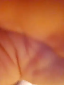 alienbunny online show from 11/17/25, 05:13