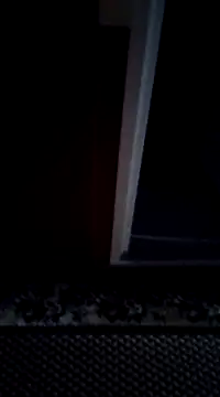 mortikoplqs online show from 12/29/24, 11:07