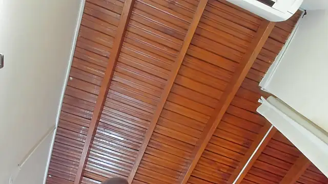 Aleja arango1 online show from 03/21/25, 03:13