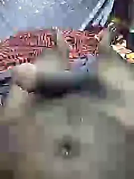 mallucallboy2104 online show from 12/31/24, 04:27