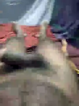 mallucallboy2104 online show from 01/03/25, 08:32