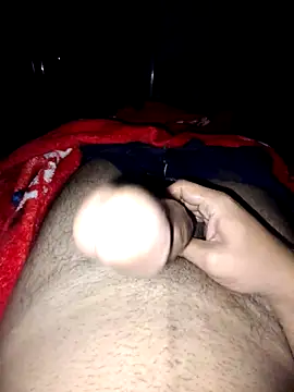 nidansohib1230 online show from 11/04/25, 04:55