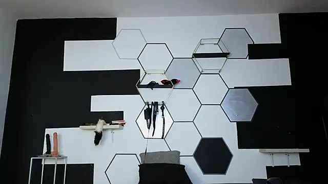 haileycat online show from 02/15/25, 12:26