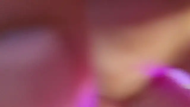 haileycat online show from 09/17/25, 11:50