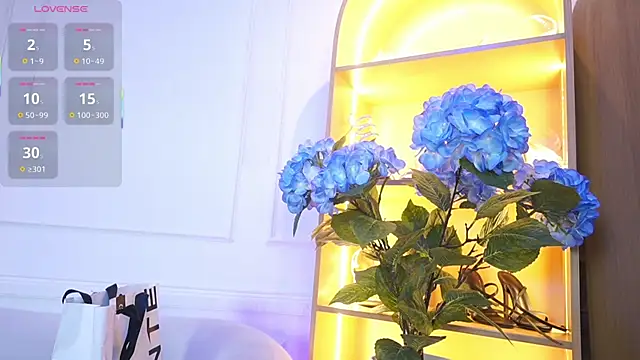 elasummer online show from 11/28/25, 11:57