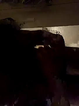 ethergodess9 online show from 11/19/25, 06:13