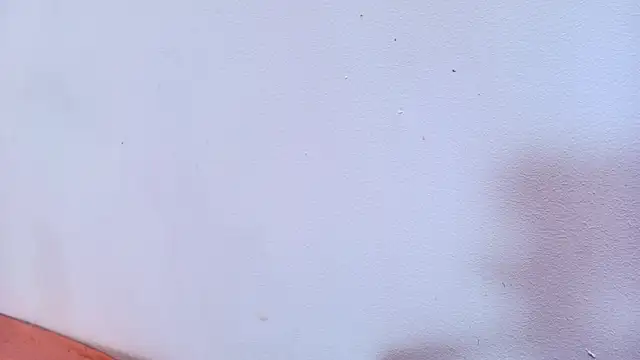 Amy wats0n online show from 03/12/25, 10:07