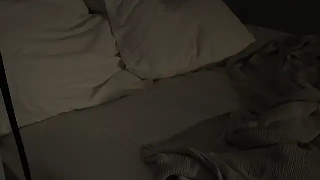 Snapshot of Dylansd chatting on 12/28/24, 10:14 Dylansd online show from 12/28/24, 10:14