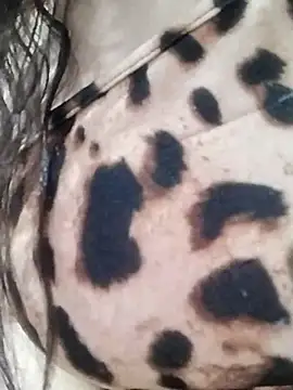 Cristina sexy maroc online show from 01/31/26, 11:47