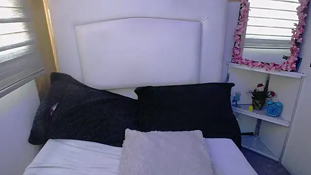 palmer mIix online show from 12/14/24, 12:44