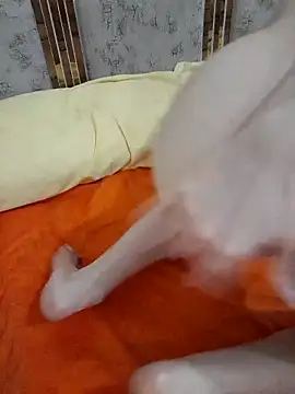 abyusif101099 online show from 02/25/25, 04:57