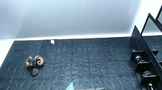 Hanna Fox 69 online show from 12/29/24, 12:34