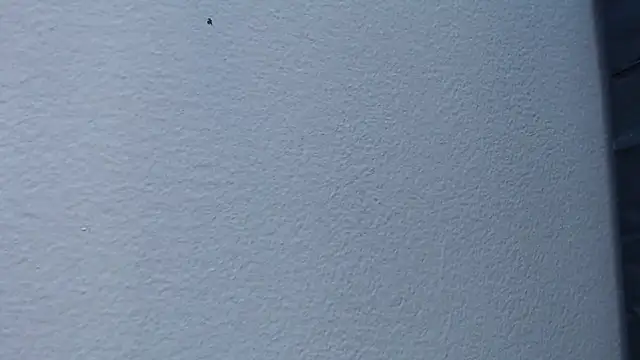 Hanna Fox 69 online show from 02/15/25, 06:02