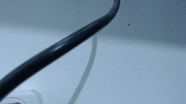 Hanna Fox 69 online show from 02/28/25, 07:37