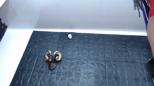 Hanna Fox 69 online show from 03/15/25, 09:30