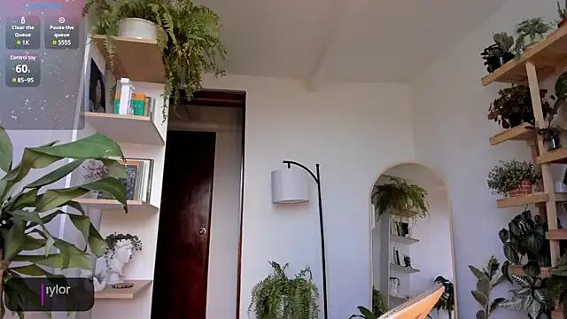 Johaphyton online show from 01/18/25, 09:13