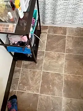 StellerCock online show from 02/05/26, 07:57