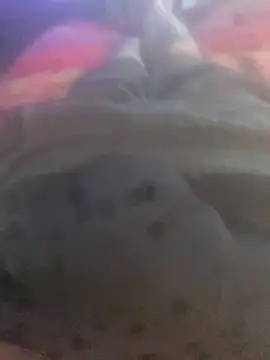 solomec online show from 09/25/25, 06:39