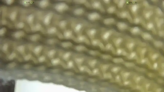 Snapshot of Alysta chatting on 10/30/25, 08:20 Alysta online show from 10/30/25, 08:20