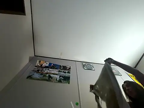 IvanaPlenty online show from 02/21/26, 12:50