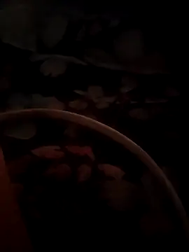 Snapshot of sana14 chatting on 05/08/26, 11:04 sana14 online show from 05/08/26, 11:04