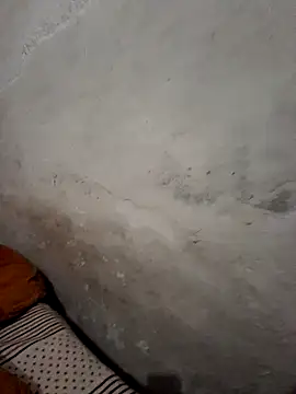 Snapshot of menakshiiikaur chatting on 12/19/24, 01:40 menakshiiikaur online show from 12/19/24, 01:40