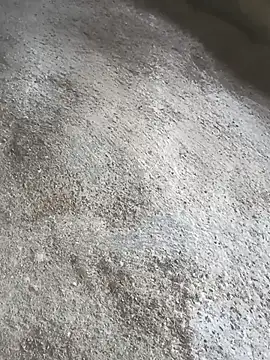 SisterlyFarmhand online show from 10/12/25, 10:58