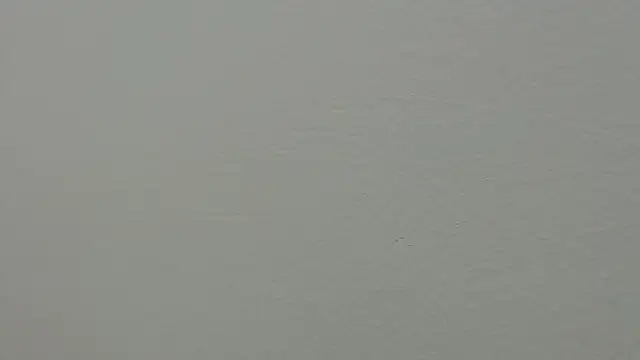 julz 03 online show from 03/01/25, 04:22