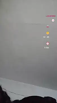 Donstark6669 online show from 12/31/24, 04:14